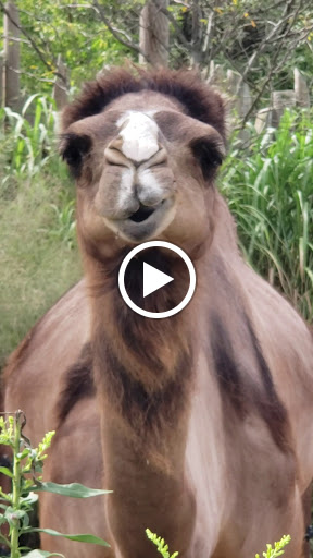 Water Park «Zoombezi Bay», reviews and photos, 10101 Riverside Dr, Powell, OH 43065, USA