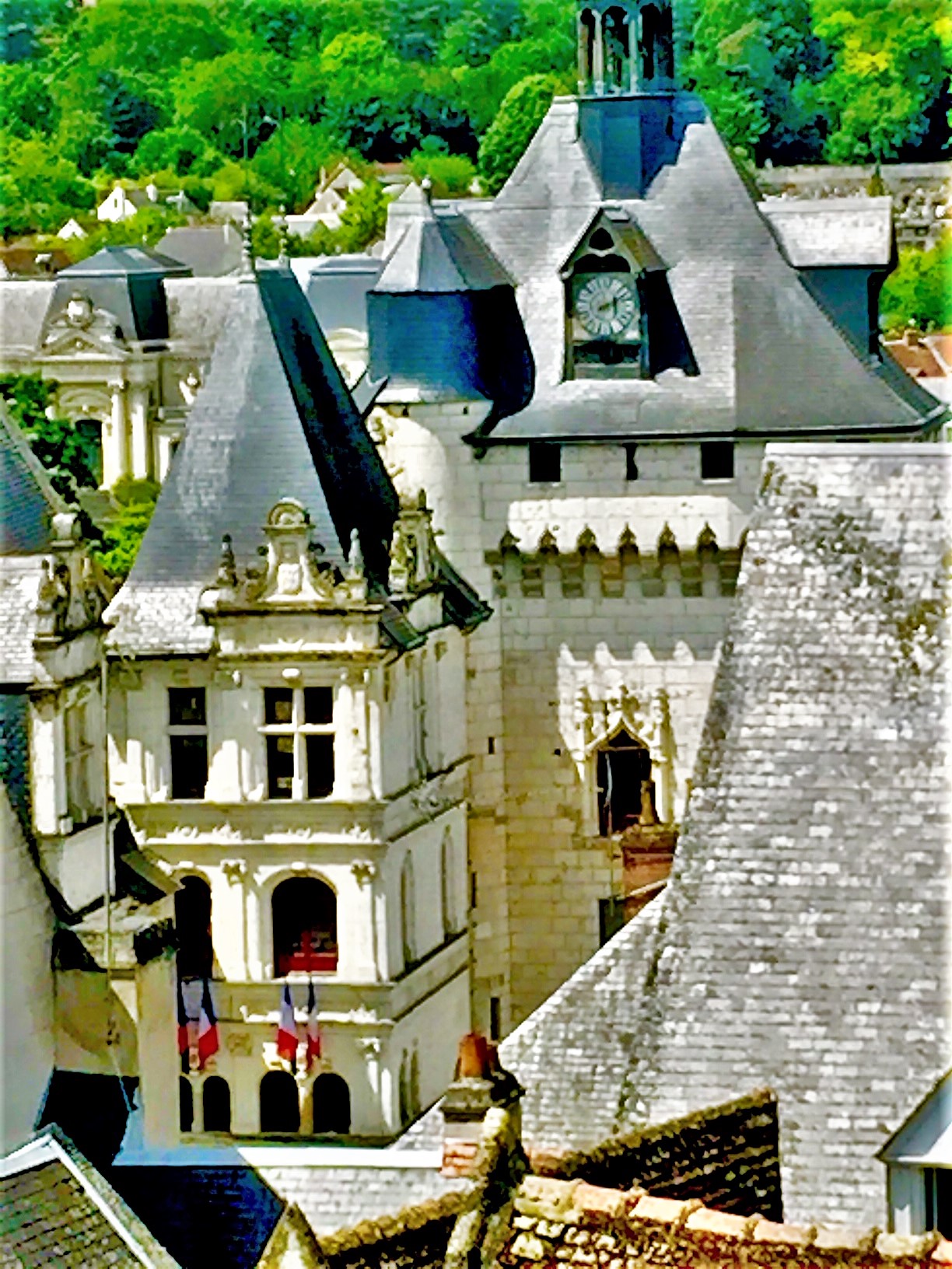 Photo n° 14 de l'avis de Paul.� fait le 03/05/2020 à 15:22