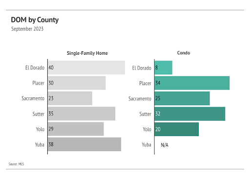 Sherry Sabbah, Real Estate Advisor image