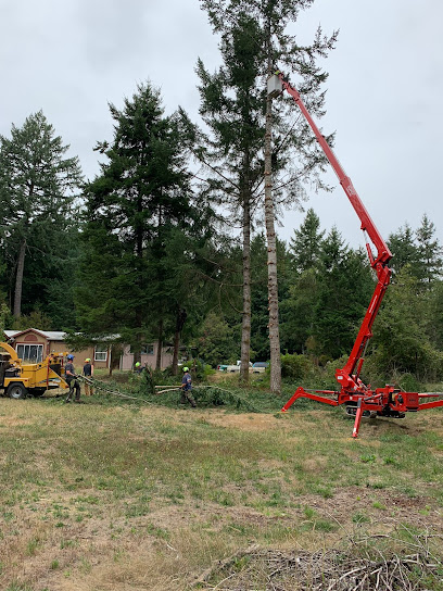 Williams Tree and Stump Removal LLC