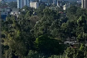 Hayes Hotel Addis Ababa image