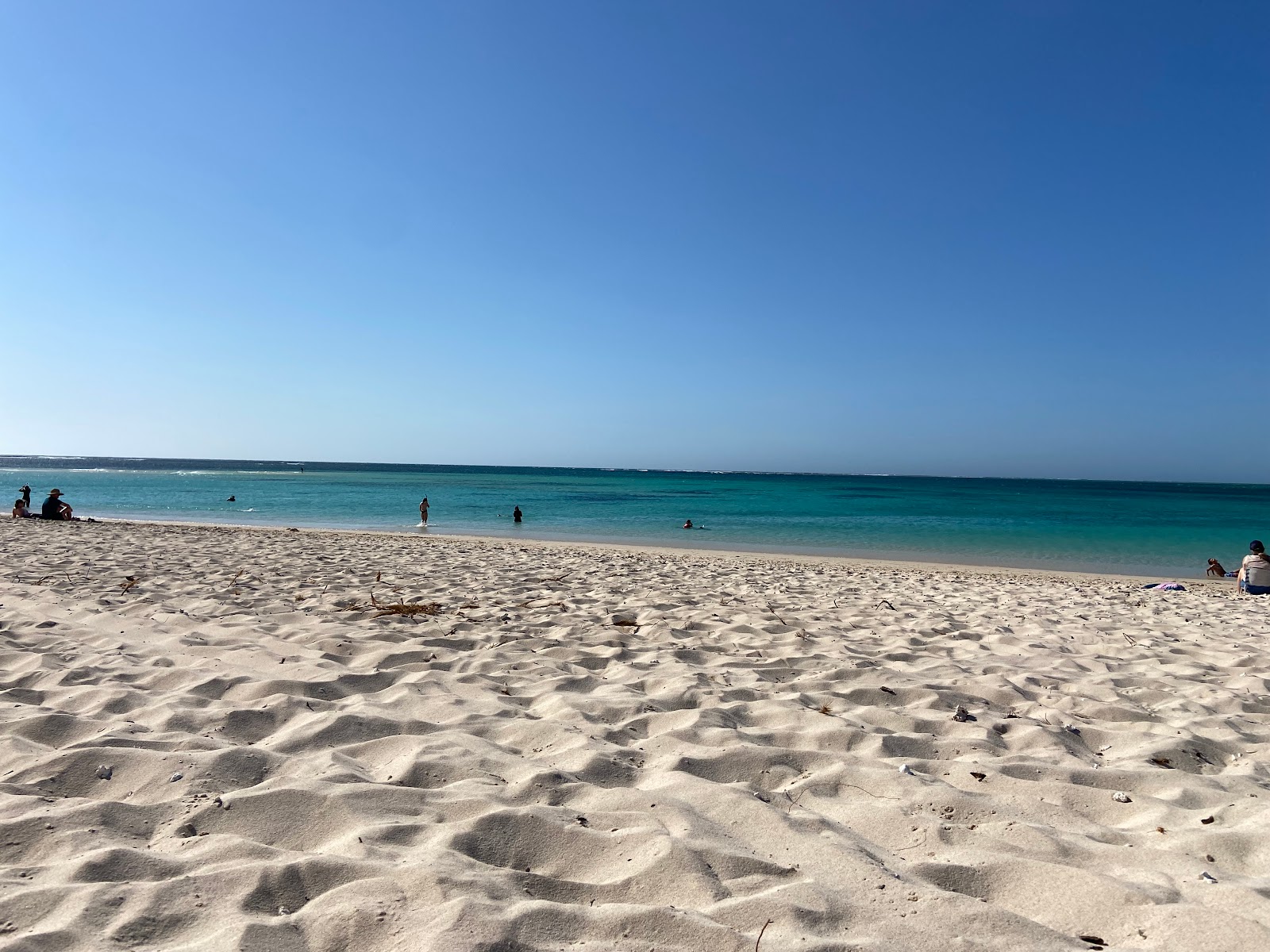 Foto de Varanus Beach área selvagem