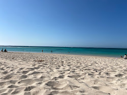 Foto de Varanus Beach área selvagem