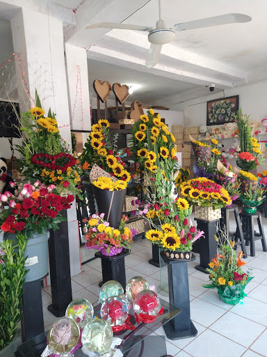Florería los alcatraces huixtla – Huixtla