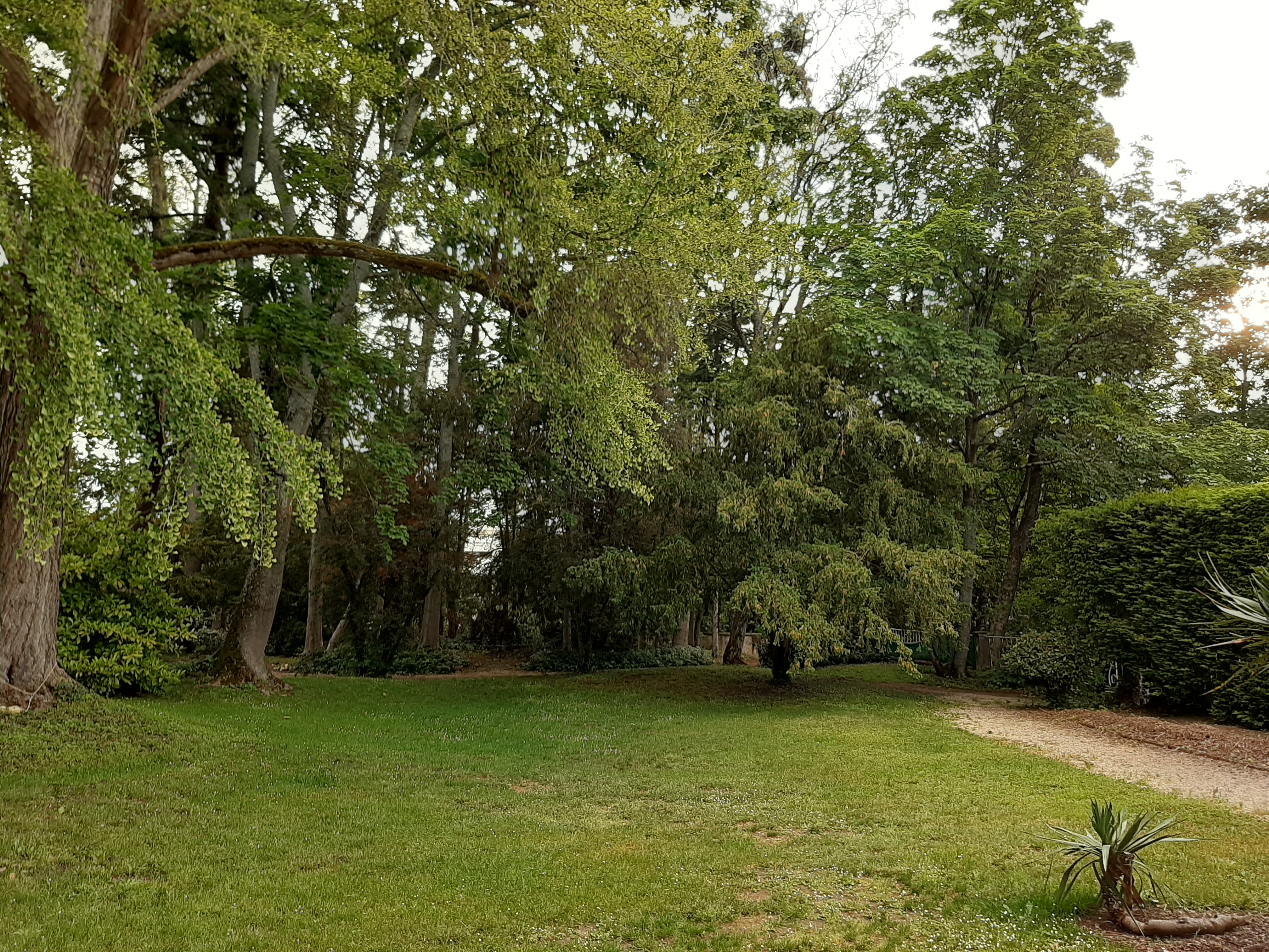 Photo n° 2 de l'avis de Hugo.o fait le 04/06/2021 à 17:25