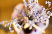 K Salon Organic Beauty - Photo 2 - Car repair in Spokane Valley, WA, Spokane Valley