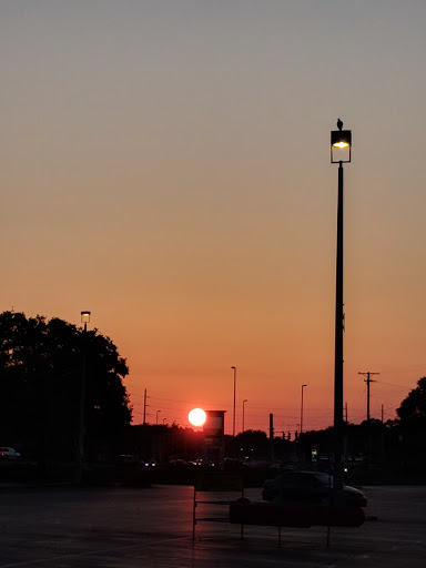 Supermarket «Winn-Dixie», reviews and photos, 9535 E Fowler Ave, Thonotosassa, FL 33592, USA