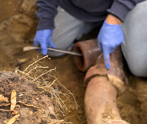 Plumber «Mr. Rooter Plumbing of Newberg», reviews and photos, 814 E 2nd St c, Newberg, OR 97132, USA