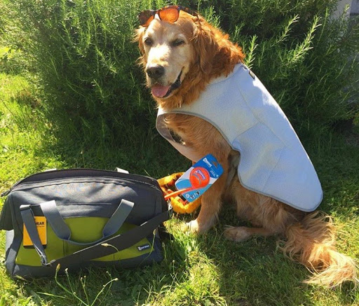 Pet Supply Store «Green Dog Pet Supply», reviews and photos, 4327 NE Fremont St, Portland, OR 97213, USA