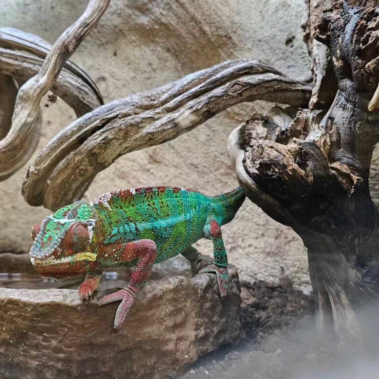 Photo n° 4 de l'avis de luderw. fait le 27/07/2023 à 15:56