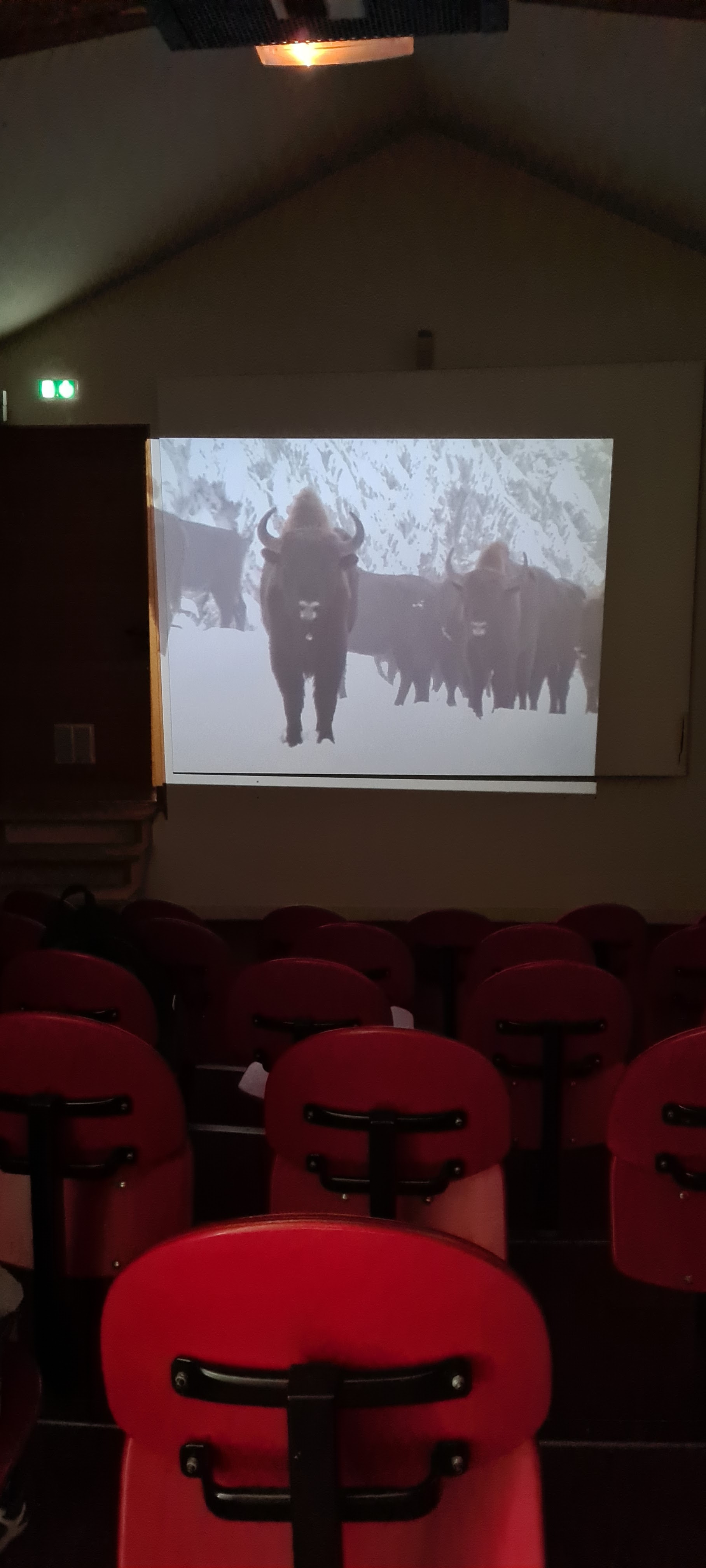 Photo n° 13 de l'avis de Marion.a fait le 05/08/2022 à 13:21