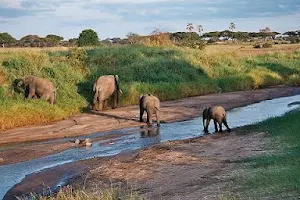 Mwea National Reserve image