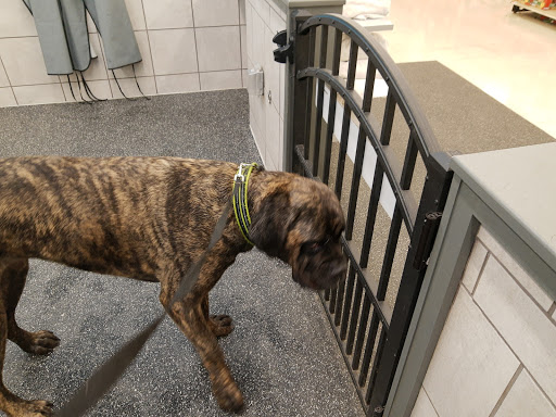 Pet Supply Store «Pet Supplies Plus», reviews and photos, 5555 Youngstown Warren Rd, Niles, OH 44446, USA