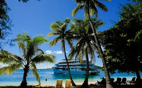 Blue Lagoon Cruises image