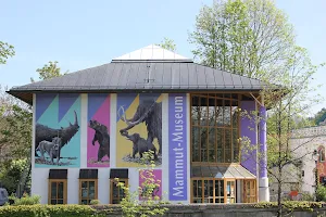 Südostbayerisches Naturkunde- und Mammut-Museum Siegsdorf image