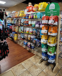 Pippa's Closet - Photo 1 - Car repair in Beaumont, TX, Beaumont