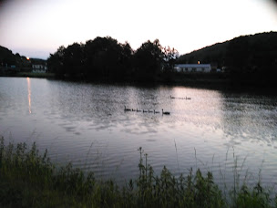 Photo n°3 de Friterie du Rivage à Vireux-Wallerand ()