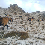 Photo n°1 de l'avis de Filippo.a fait le 25/09/2017 à 17:00 sur le  Schlernhaus à Völs am Schlern