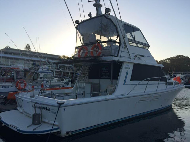 Hammerhead Fishing Charters