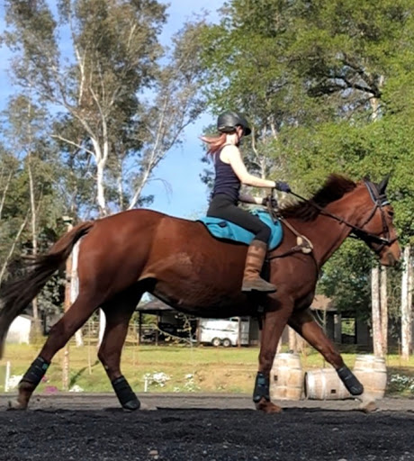 Oak Knoll Equestrian Center