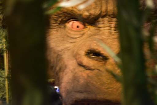 Wax Museum «Madame Tussauds New York», reviews and photos, 234 W 42nd St, New York, NY 10036, USA