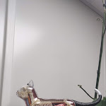 Photo n° 2 de l'avis de Jis.e fait le 15/12/2019 à 13:05 pour ADHOCVET - clinique vétérinaire à Castets