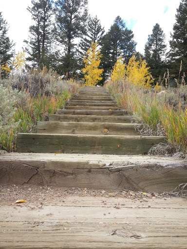 Grocery Store «Twin Lakes General Store», reviews and photos, 6451 CO-82, Twin Lakes, CO 81251, USA