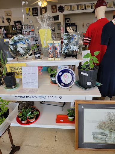 Thrift Store «St. Paws Thrift Store», reviews and photos, 304 12th St, West Columbia, SC 29169, USA