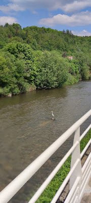 GANTOIS à Saint-Dié-des-Vosges