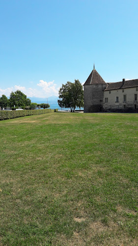 attractions Château de Rolle Rolle