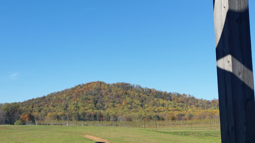 Vineyard «Early Mountain Vineyards», reviews and photos, 6109 Wolftown-Hood Rd, Madison, VA 22727, USA
