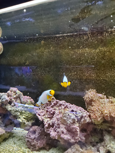 Tropical Fish Store «Marine Oasis», reviews and photos, 5340 W Ridge Rd, Spencerport, NY 14559, USA