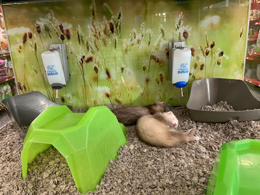 Pet Supply Store «Petco Animal Supplies», reviews and photos, 2000 NE Burnside Rd, Gresham, OR 97030, USA