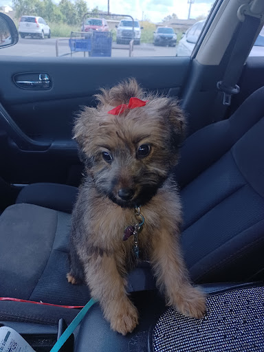 Pet Supply Store «PetSmart», reviews and photos, 8660 Airline Hwy, Baton Rouge, LA 70815, USA