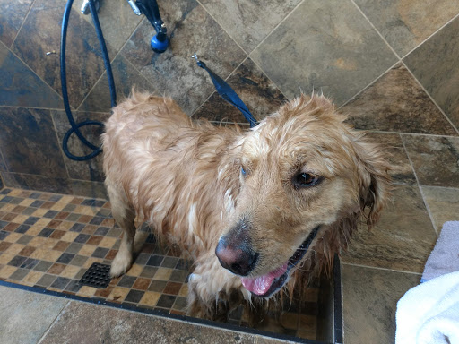 Pet Supply Store «Pet Valu», reviews and photos, 220 CT-12, Groton, CT 06340, USA