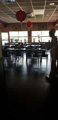 Atmosphère du Restaurant chinois Palace d'Asie à Pontcharra - n°7
