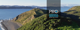 PRO Environmental Services - Asbestos Removal Wellington