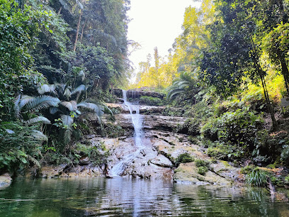Giam Waterfall Bakam