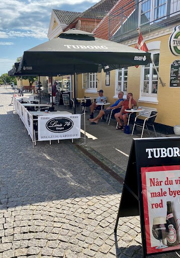 Linie 74 af 2019 in Skagen, Viborg