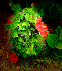 Tasteful Flix Photography - Photo 9 - Car repair in , Harrisburg