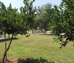 Eventos Amaría photo
