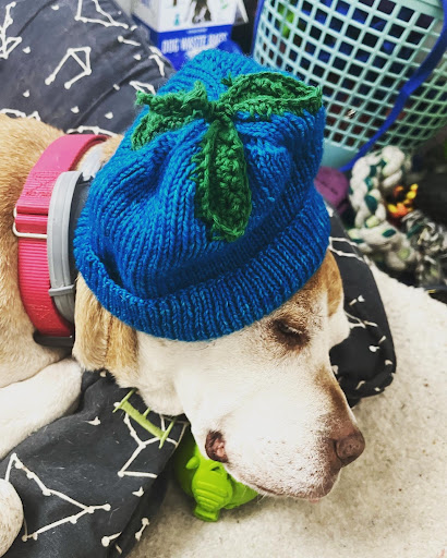 Yarn Store «gather here», reviews and photos, 1343 Cambridge St, Cambridge, MA 02139, USA