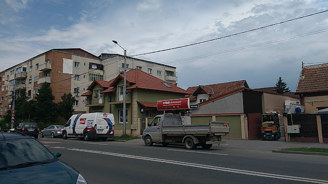 Strada Păuleşti 8, Satu Mare 447230, România