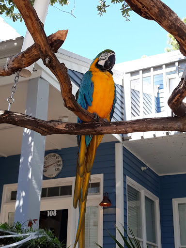 T-shirt Store «Salty Dog T-Shirt Factory», reviews and photos, 232 S Sea Pines Dr #305, Hilton Head Island, SC 29928, USA