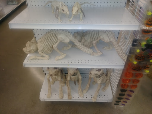 Fabric Store «Jo-Ann Fabrics and Crafts», reviews and photos, 5420 Beckley Rd m, Battle Creek, MI 49015, USA