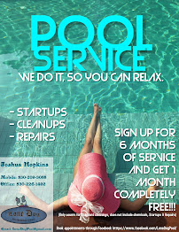 Lone Dog Pool Maintenance & Repair - Photo 2 - Car repair in , Redding