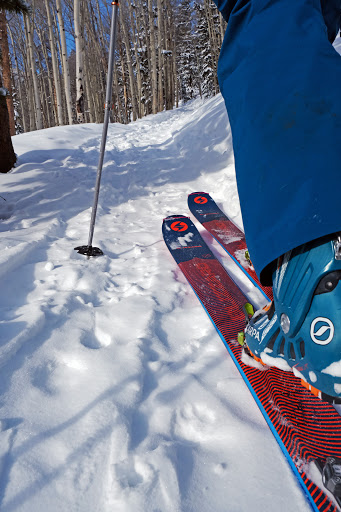 Sporting Goods Store «Bent Gate Mountaineering», reviews and photos, 1313 Washington Ave, Golden, CO 80401, USA