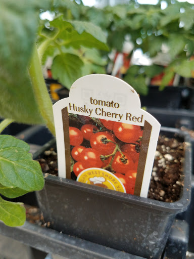 Hardware Store «Charleston Ace Hardware», reviews and photos, 1320 E St, Charleston, IL 61920, USA