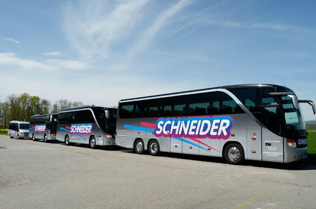 Busreisen-Schneider, Bus- und Carreisen