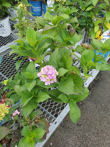 Home Improvement Store «The Home Depot», reviews and photos, 102 Aldi Dr, North Versailles, PA 15137, USA